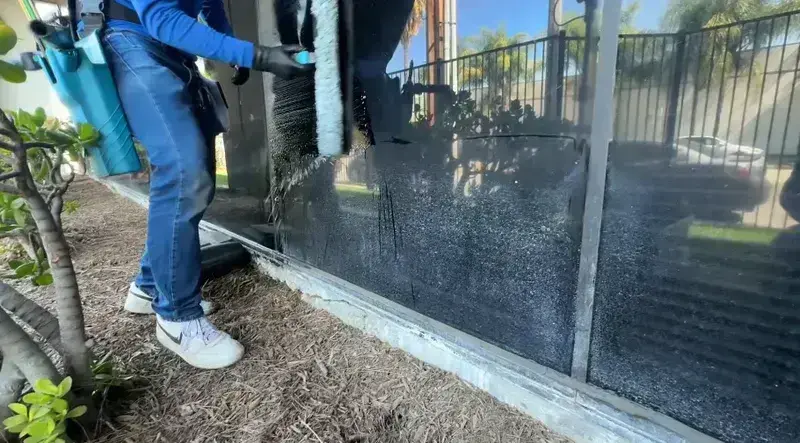 Window cleaning service