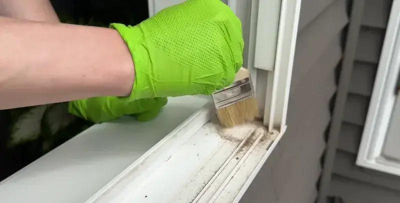 Window screens and tracks cleaning and maintenance